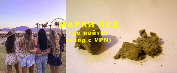 прущие грибы Гусь-Хрустальный