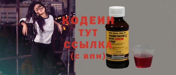 прущие грибы Гусь-Хрустальный
