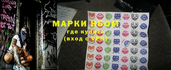 прущие грибы Гусь-Хрустальный
