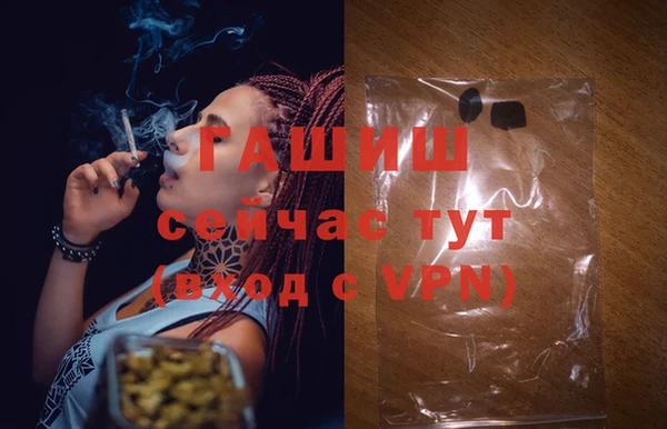 прущие грибы Гусь-Хрустальный