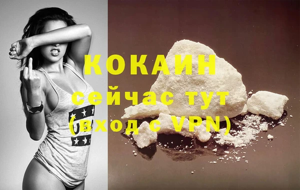 прущие грибы Гусь-Хрустальный